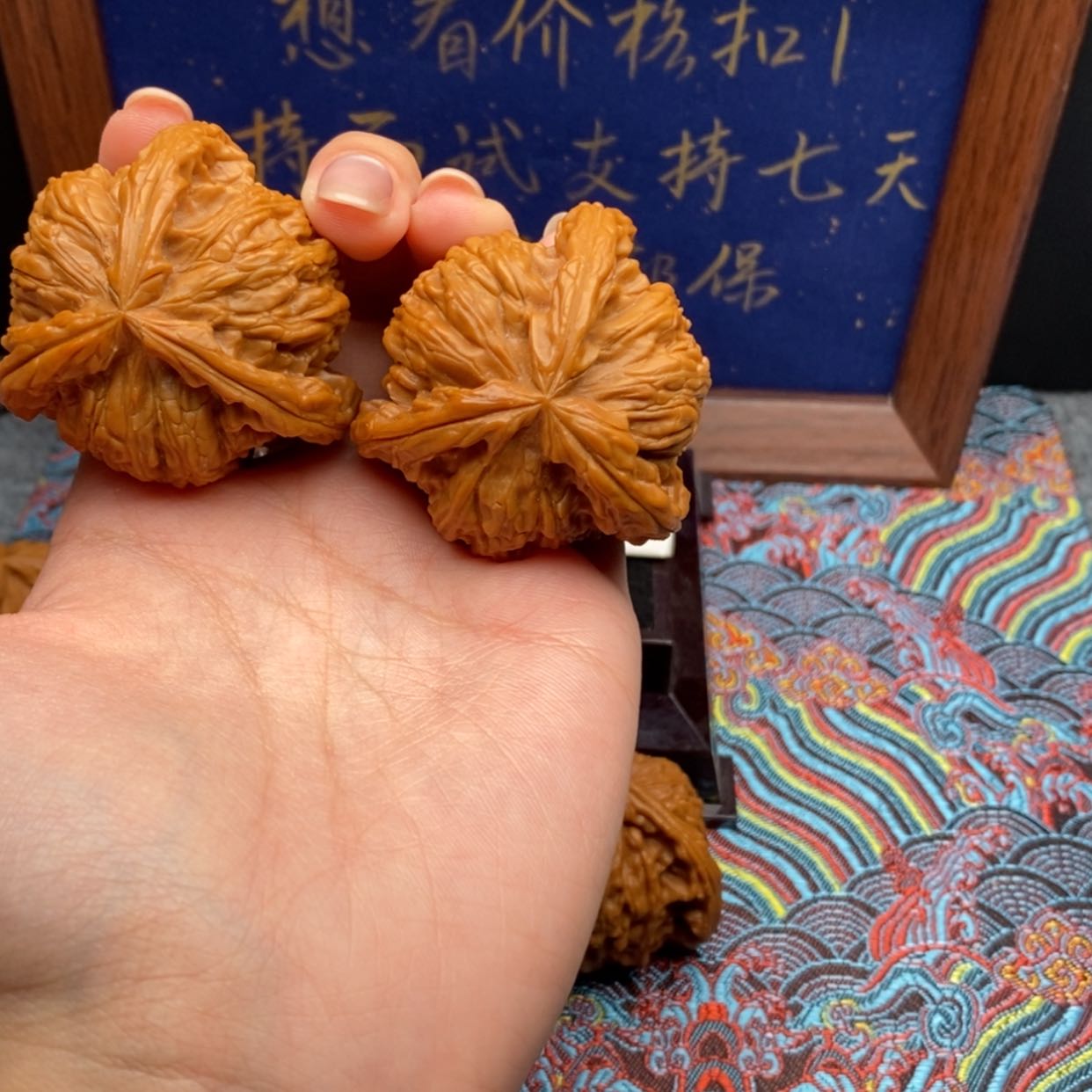 【闪购商品】福****行白狮