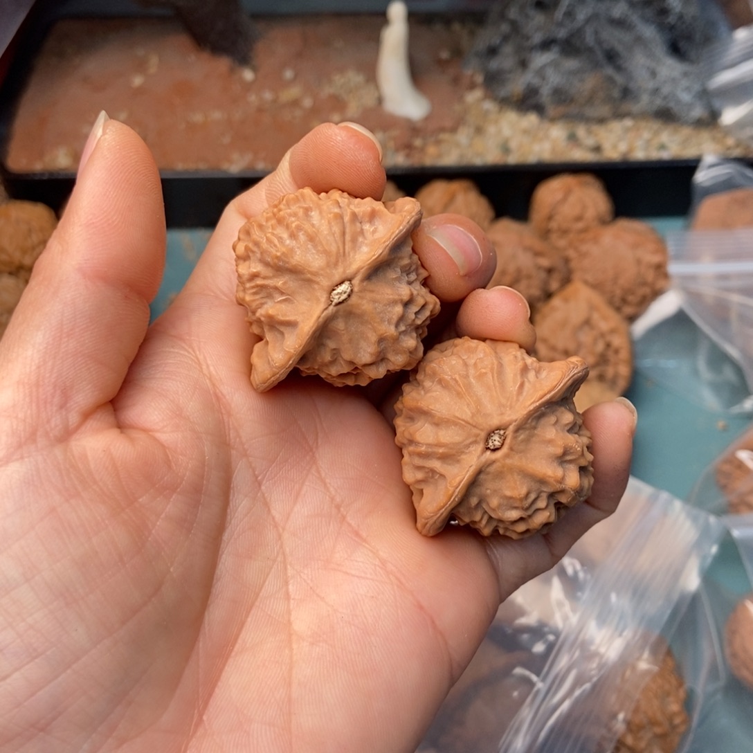 1***4文玩核桃吊坠瓷娃娃56