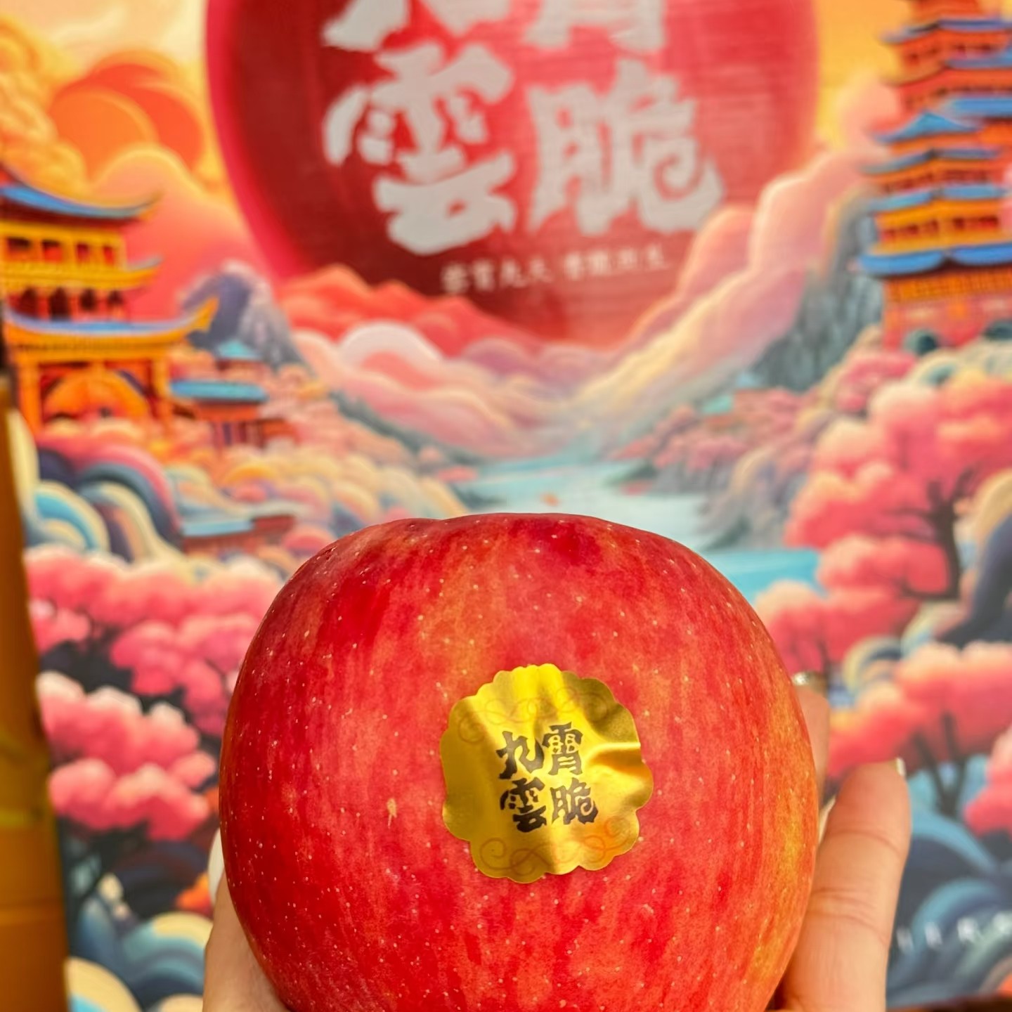 九霄云脆苹果一箱毛重4.5斤左右