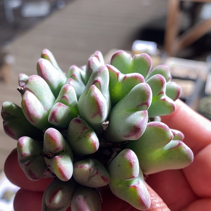 15174一个一个一个