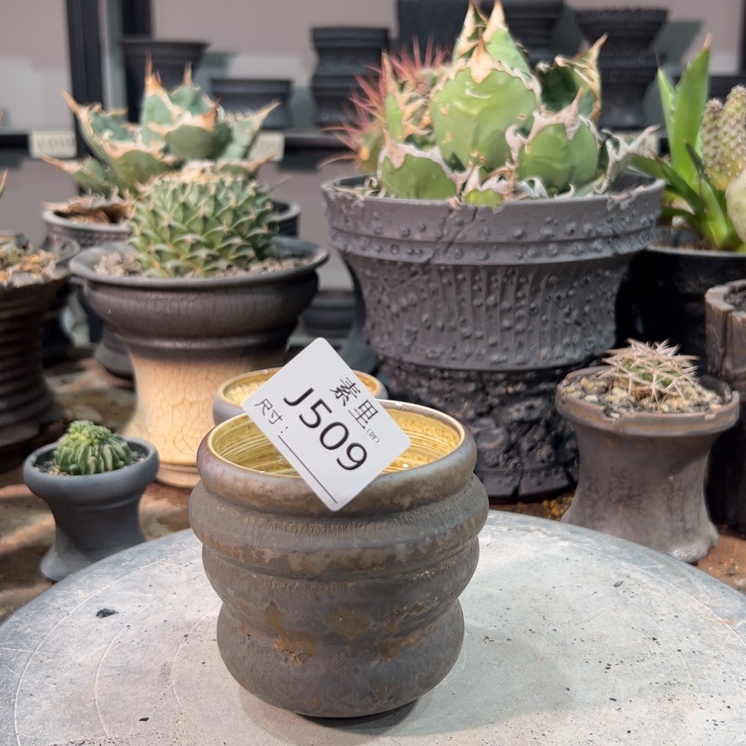 景德镇手工素里内面8该8.5