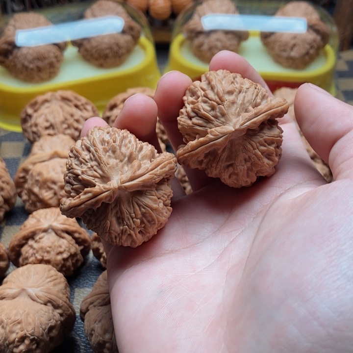 桃核把件白狮子全品41