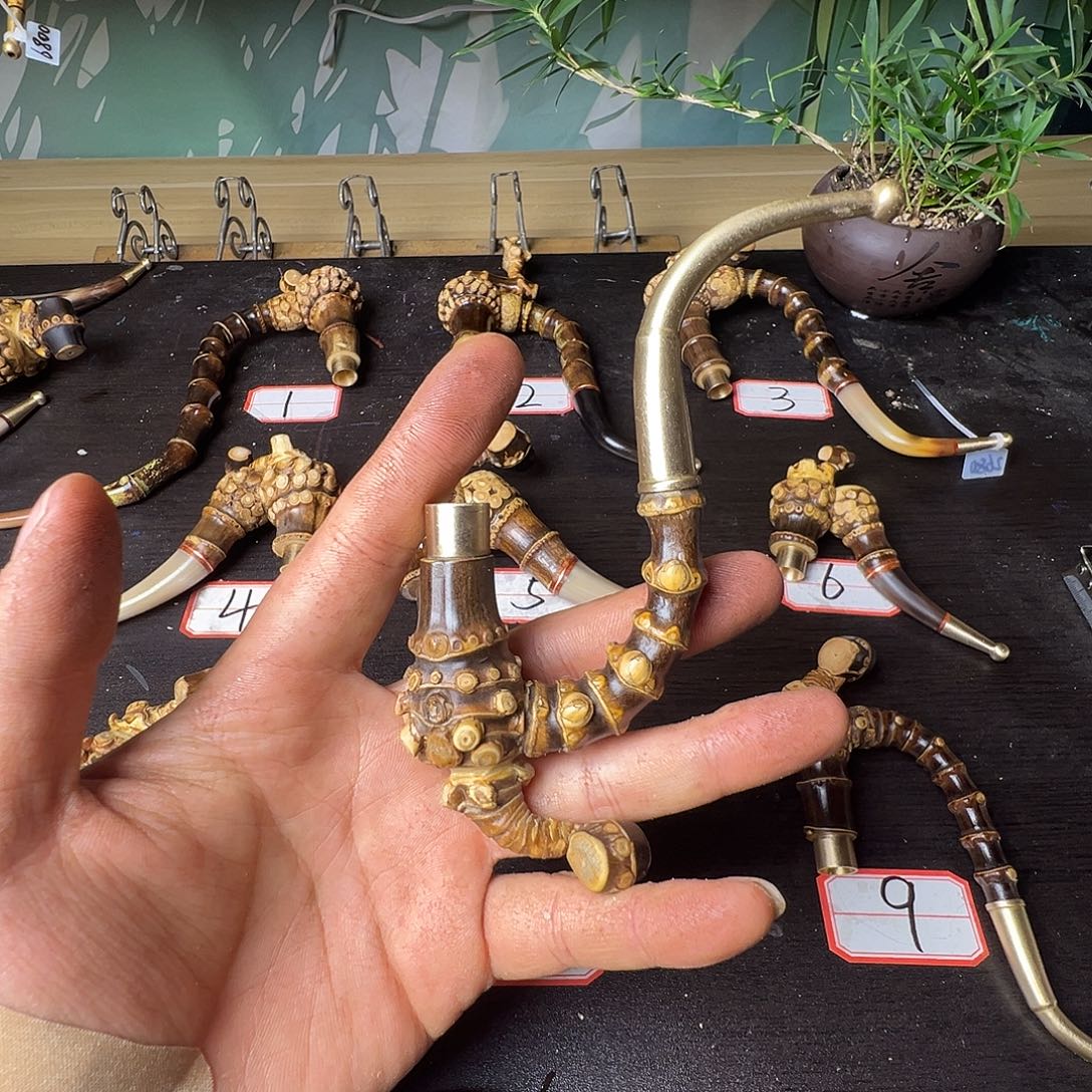 情***哥竹类，，，，，，，，，，，，，