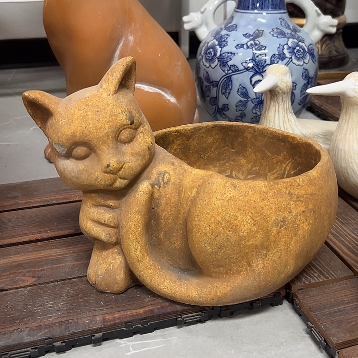 样品5559669669966666