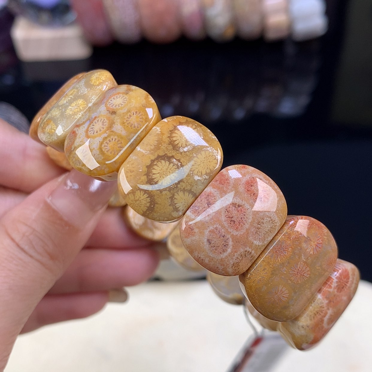 【闪购商品】颈饰未镶嵌硅化珊瑚（珊瑚玉）开播福利11号