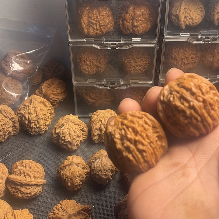 桃核吊坠39楼…………