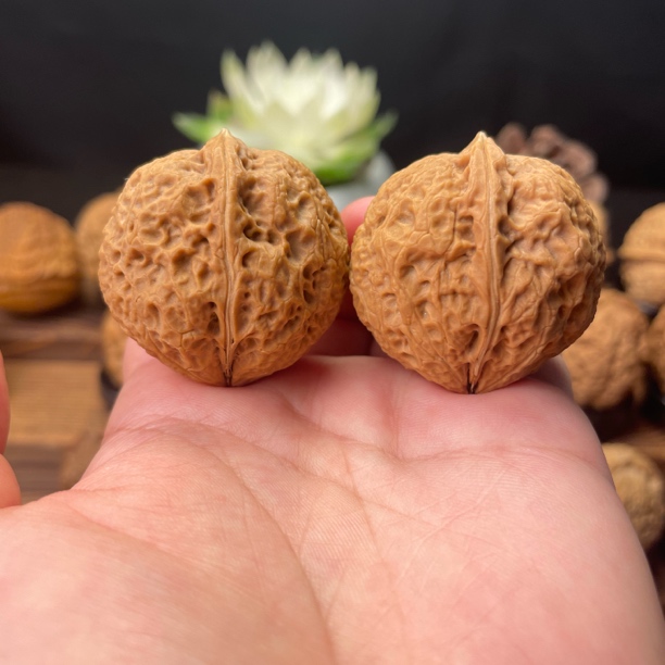 37尺寸  铁蛋（云南铁核桃一物一图产地直发）