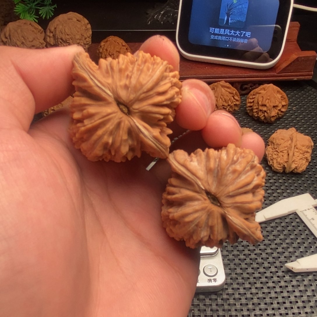 吊坠文玩核桃真**白楼子