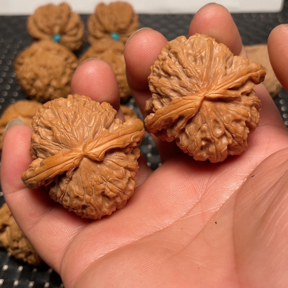 【闪购商品】文玩核桃把件43白狮子头