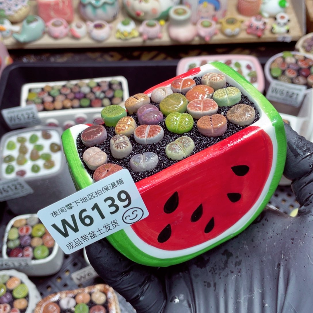 夜间零下地区拍保温箱w6139