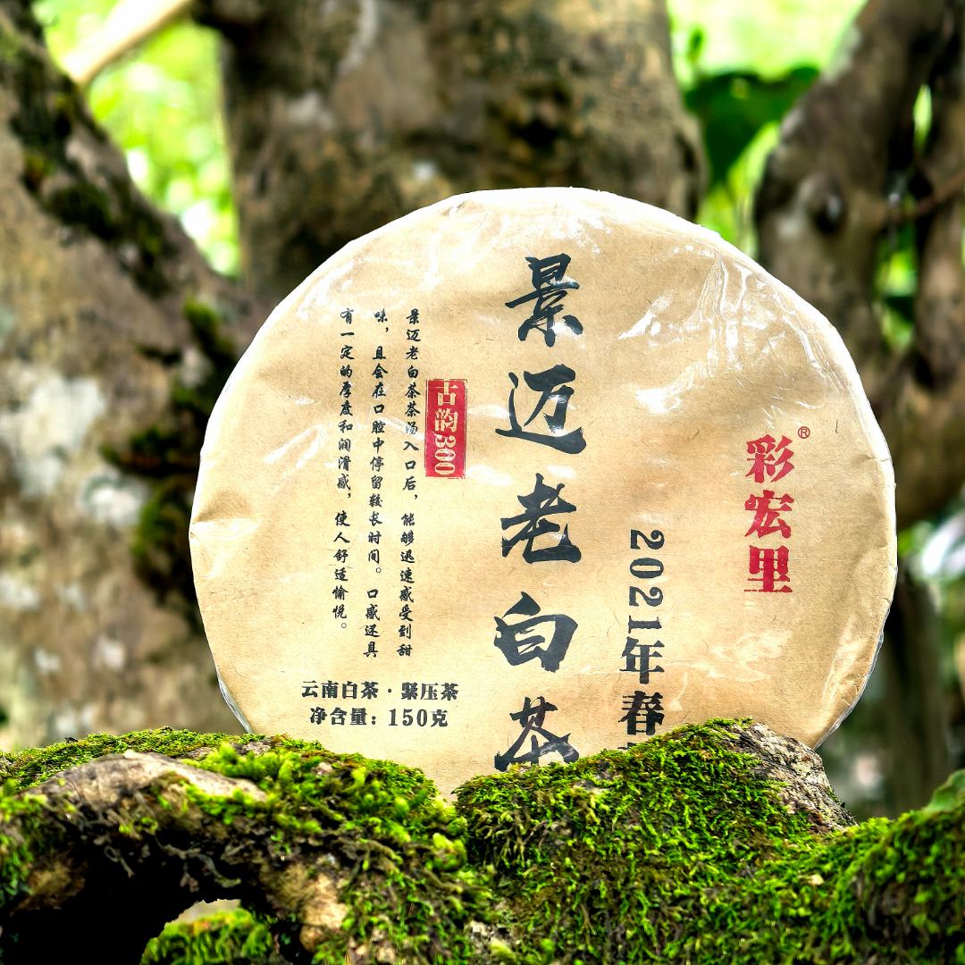21年景迈老白茶甜香蜜韵体感强烈耐泡度高叶底蜜香