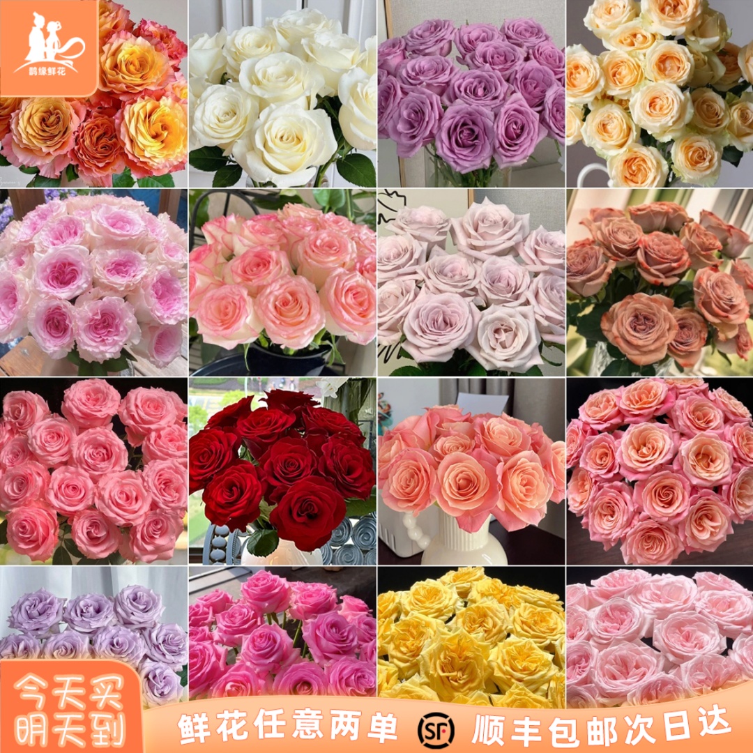次日达-【随机单色玫瑰】10枝随机玫瑰单色鲜花批发直播任意两单升级顺丰包邮三单送随机花瓶一个