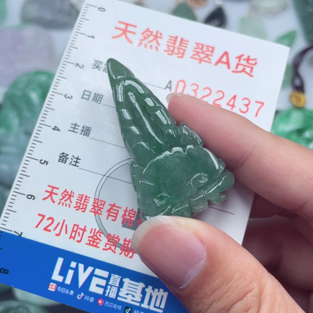 翡翠颈饰未镶嵌958595958888
