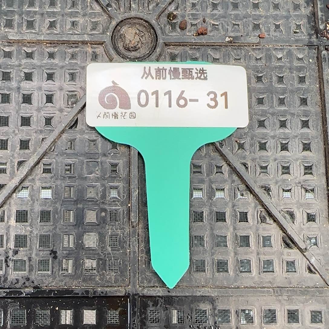 从前慢花园精选0116-31