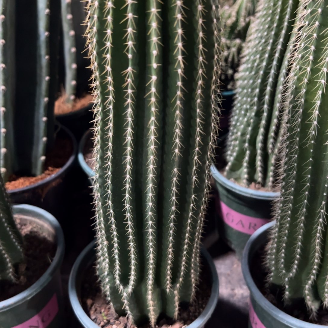 木****哈哈哈哈哈哈哈哈哈哈