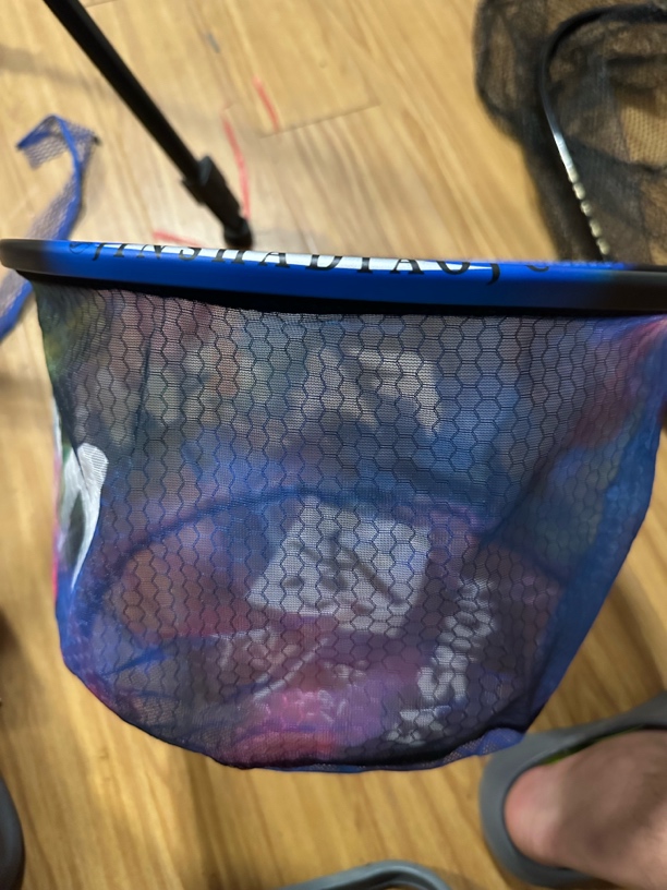 超轻防挂钩鲫鱼专用抄网适合捞鱼钓鱼竞技黑坑使用