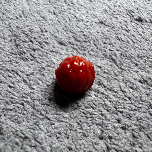 【双十二福利】南红雕刻龟甲富甲天下直径10对孔10孔道1.5