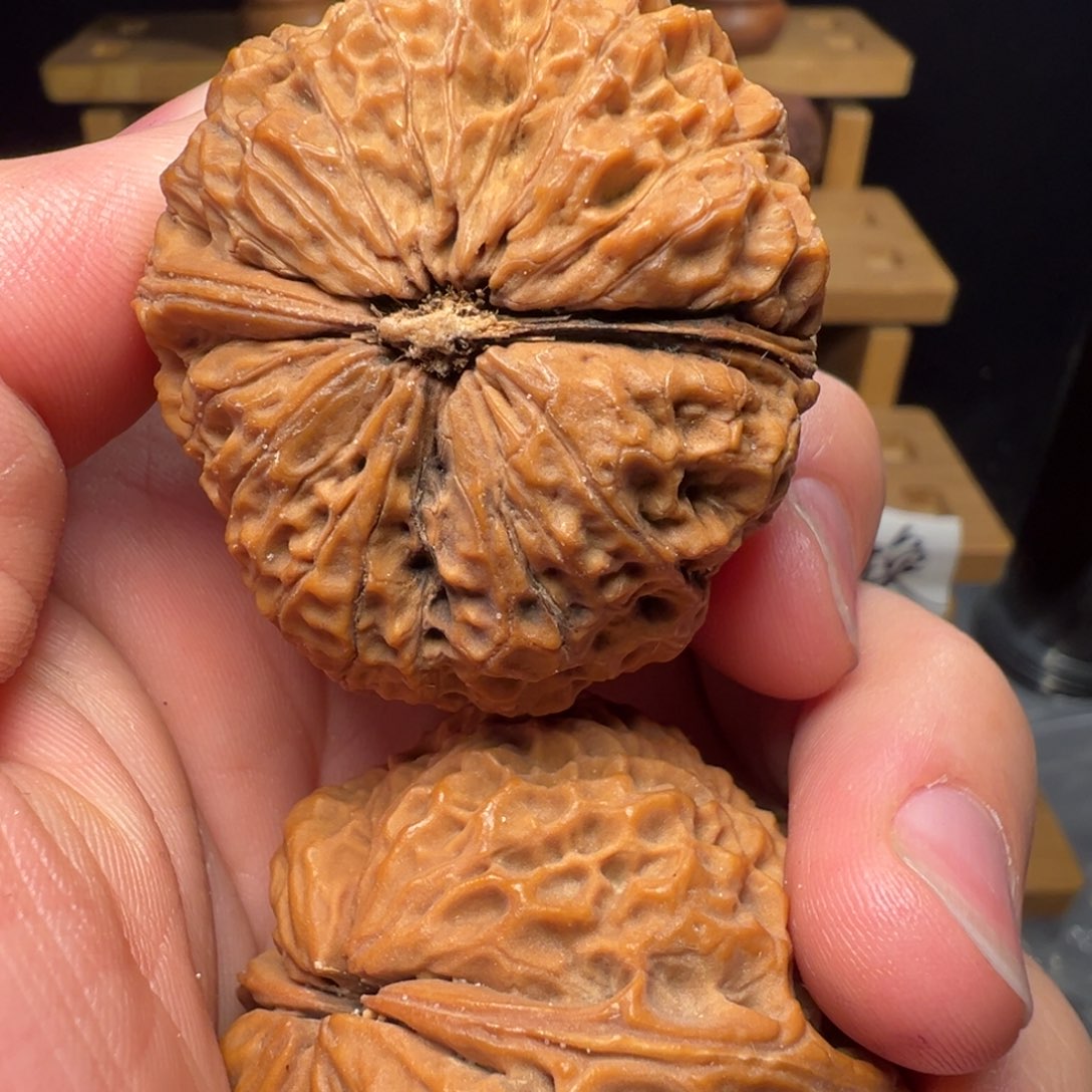 吊坠文玩核桃蚂蚁纹铁狮子45mm