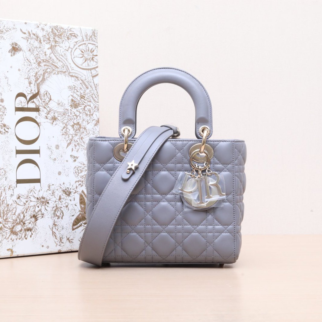 95新 DIOR/迪奥 小花6枫 戴妃包 四格 徽章肩带 灰色 金扣 2019