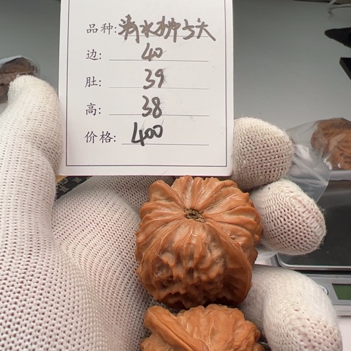 文玩核桃把件清水68