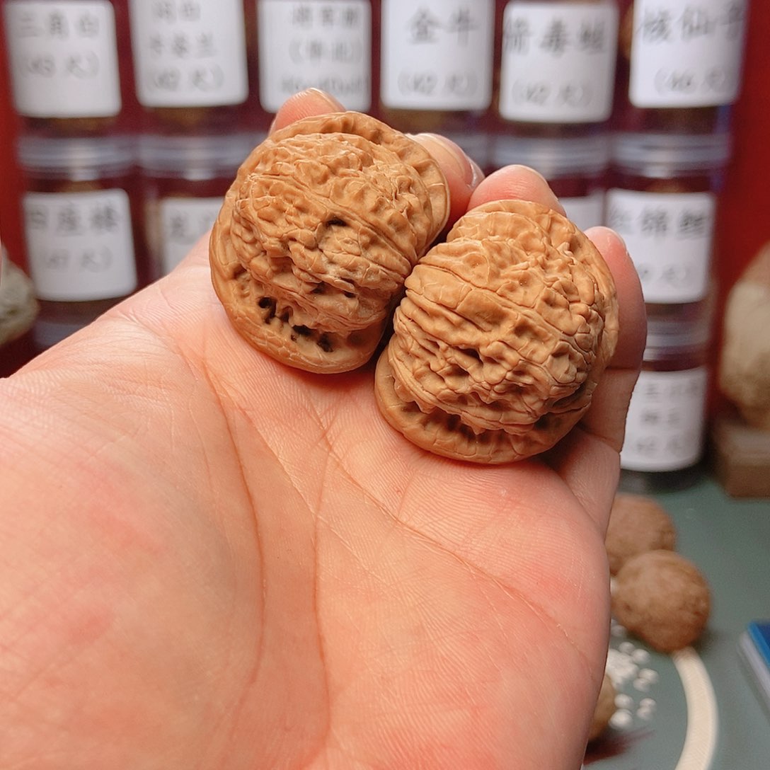 文玩核桃把件家***驴白狮子40全品