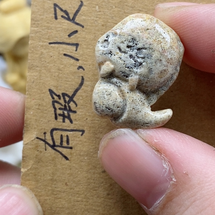 颈饰未镶嵌硅化珊瑚（珊瑚玉）