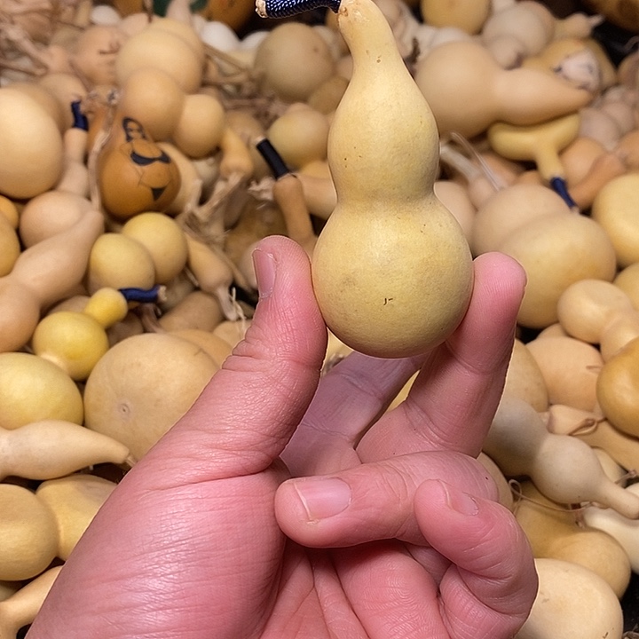 爱***惠精品葫芦手把葫芦64