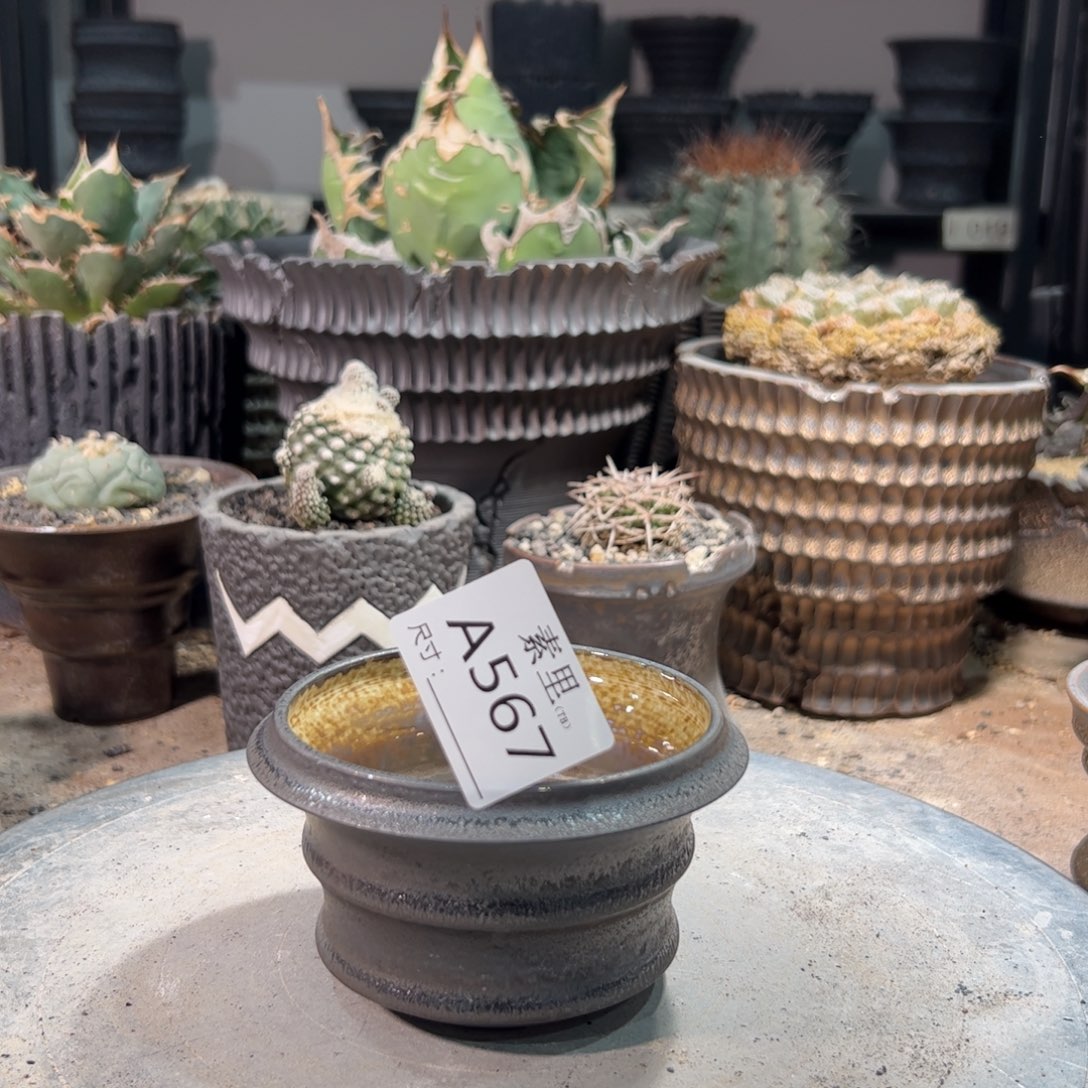 景德镇私聊手工内口9高6