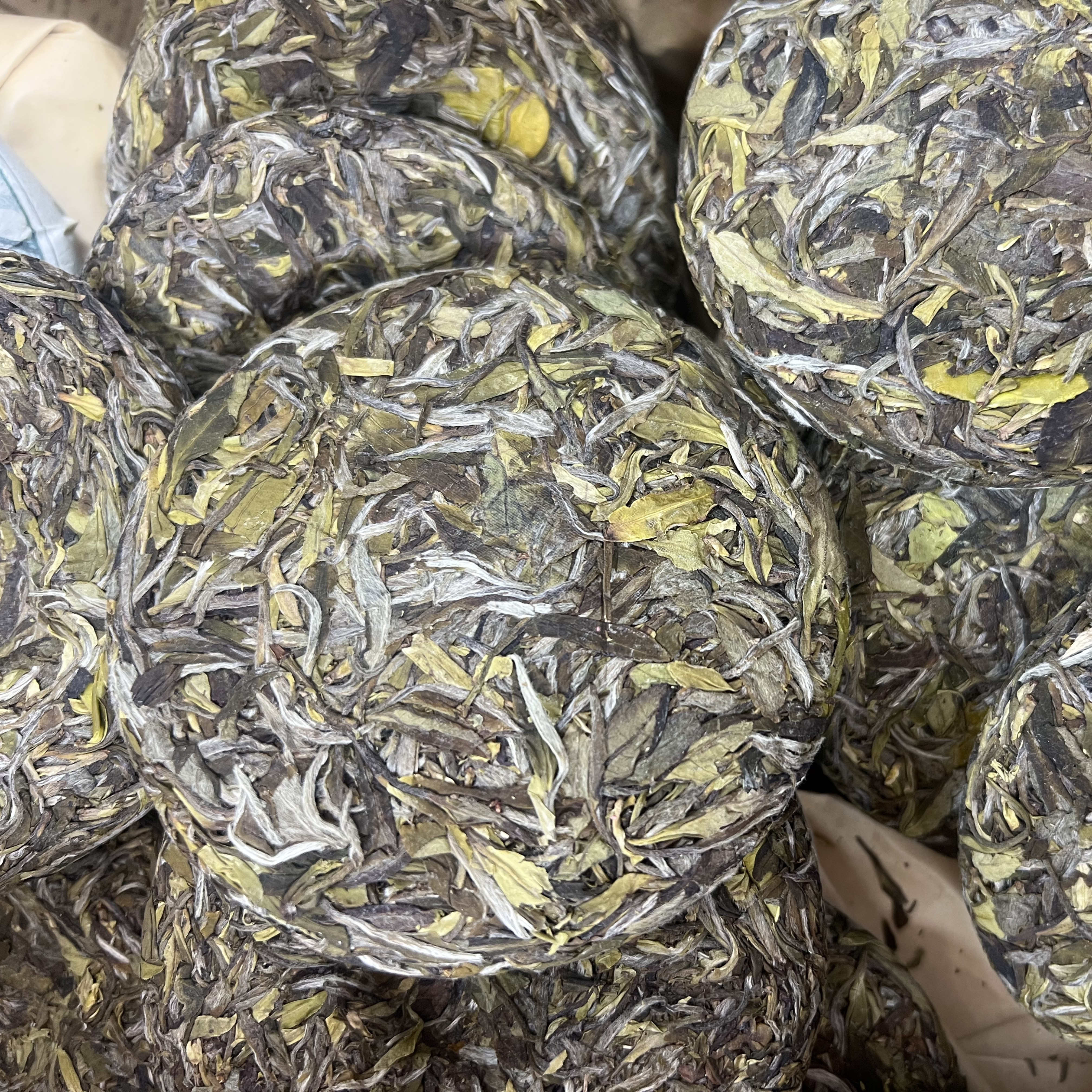 福鼎白茶2025年野生小菜茶土茶贡眉小饼100克