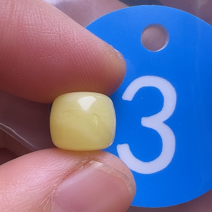 未镶嵌蜜蜡裸石9.5m m