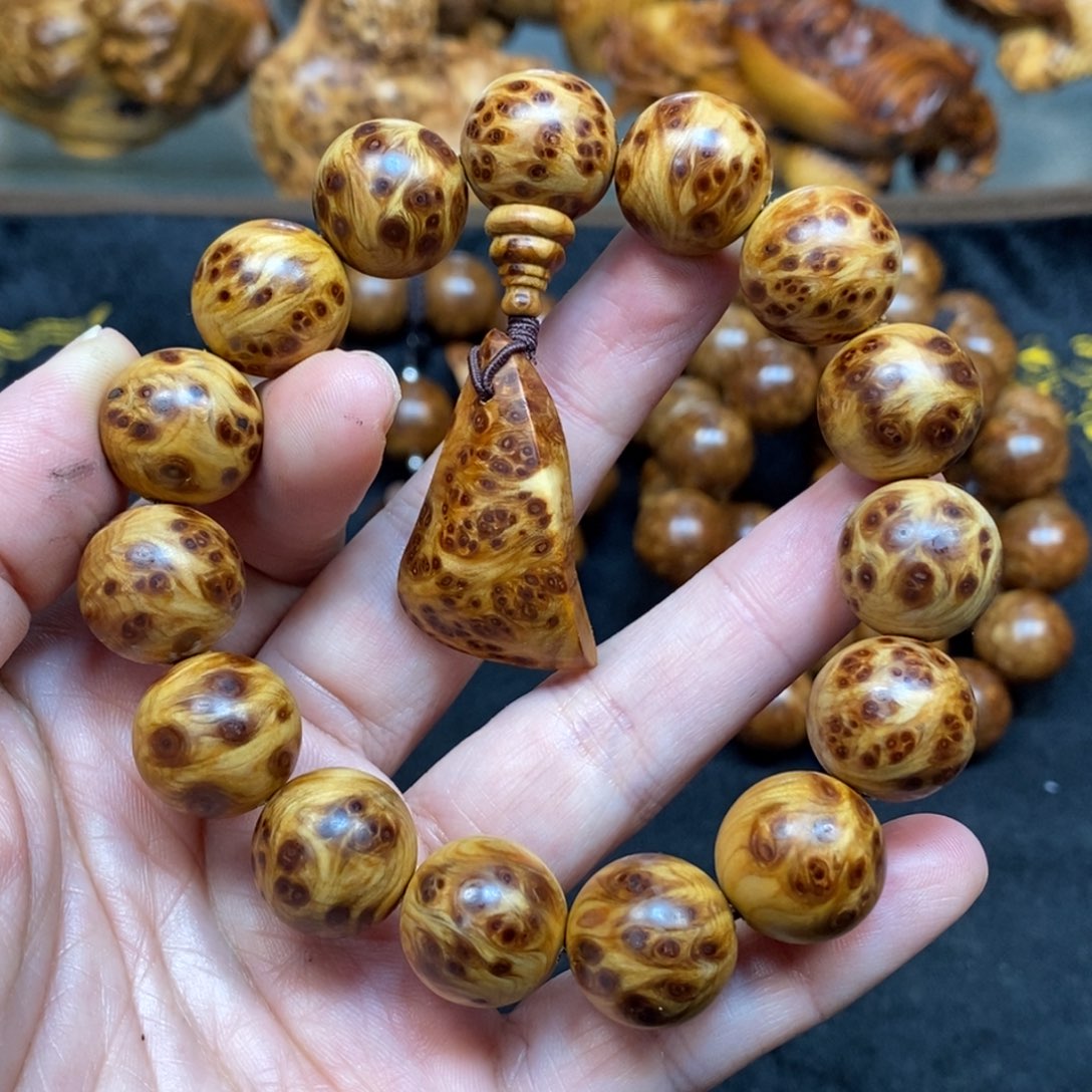 柏木（崖柏）太行崖柏1.5瘤疤