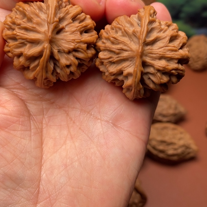 夏***鹏文玩核桃吊坠秦核等人的故事也在