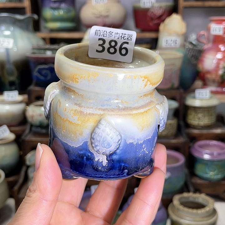 红陶内口径6高度7