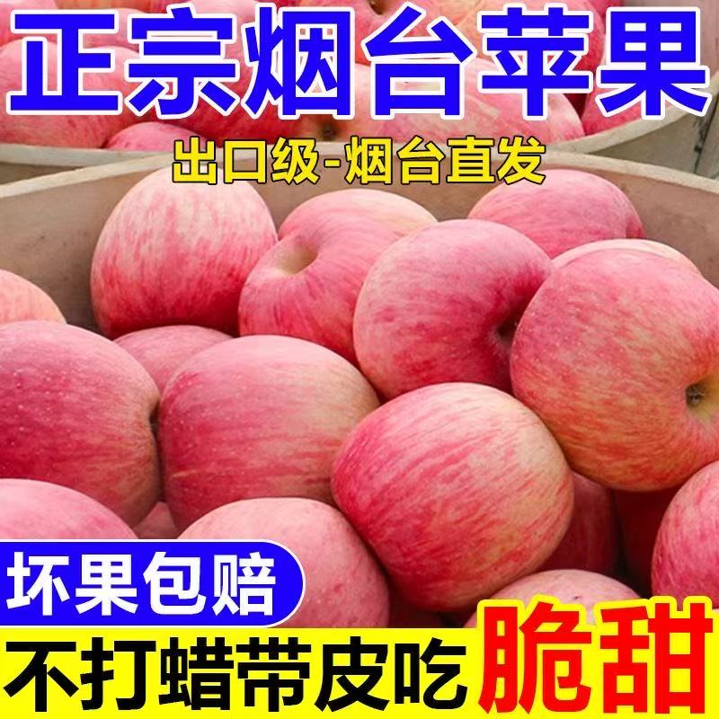 正宗山东烟台苹果脆甜栖霞红富士冰糖心苹果当季新鲜水果整箱批发