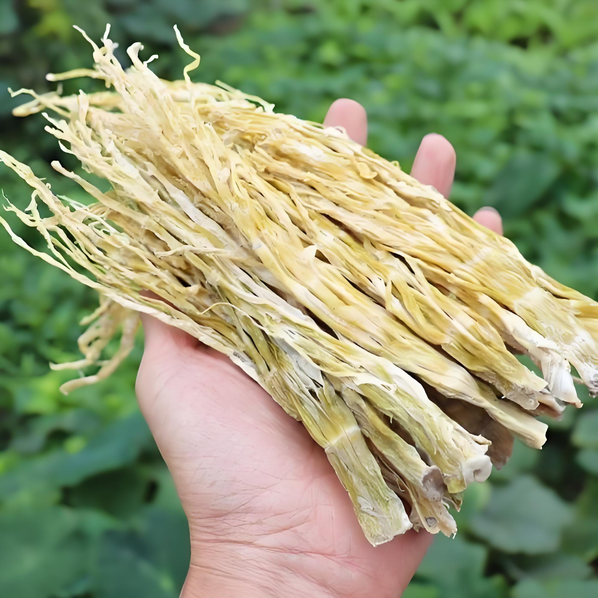 四川峨眉山龙须笋干货笋子瓦屋山冷竹笋可火锅凉拌红烧的嫩笋尖