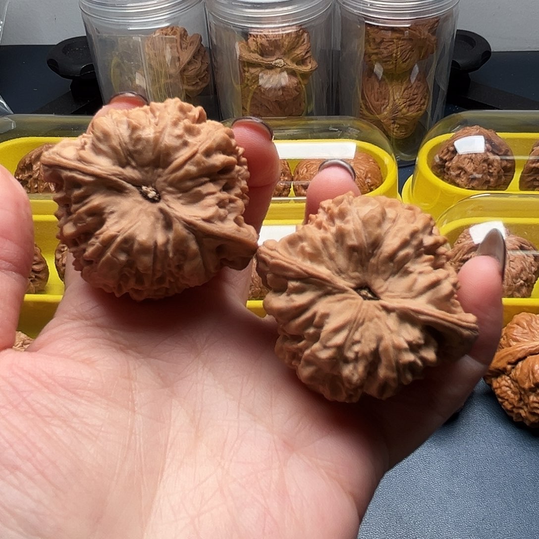 核桃47尺寸大官帽