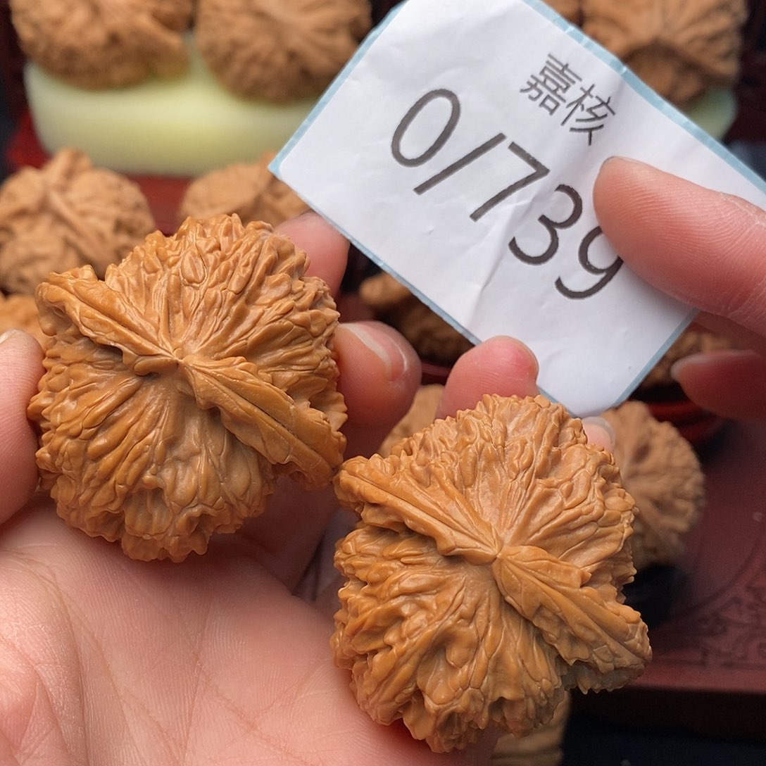 文玩核桃把件为*45白狮子