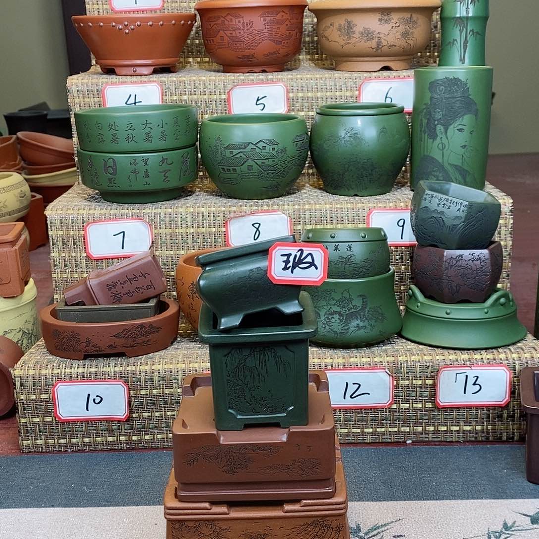 紫砂花盆你也不说