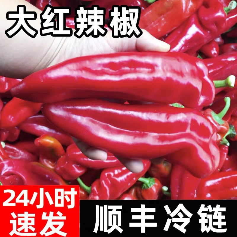(顺丰包邮)新鲜红辣椒大红椒鲜辣椒农家微辣红剁椒做辣椒酱辣椒
