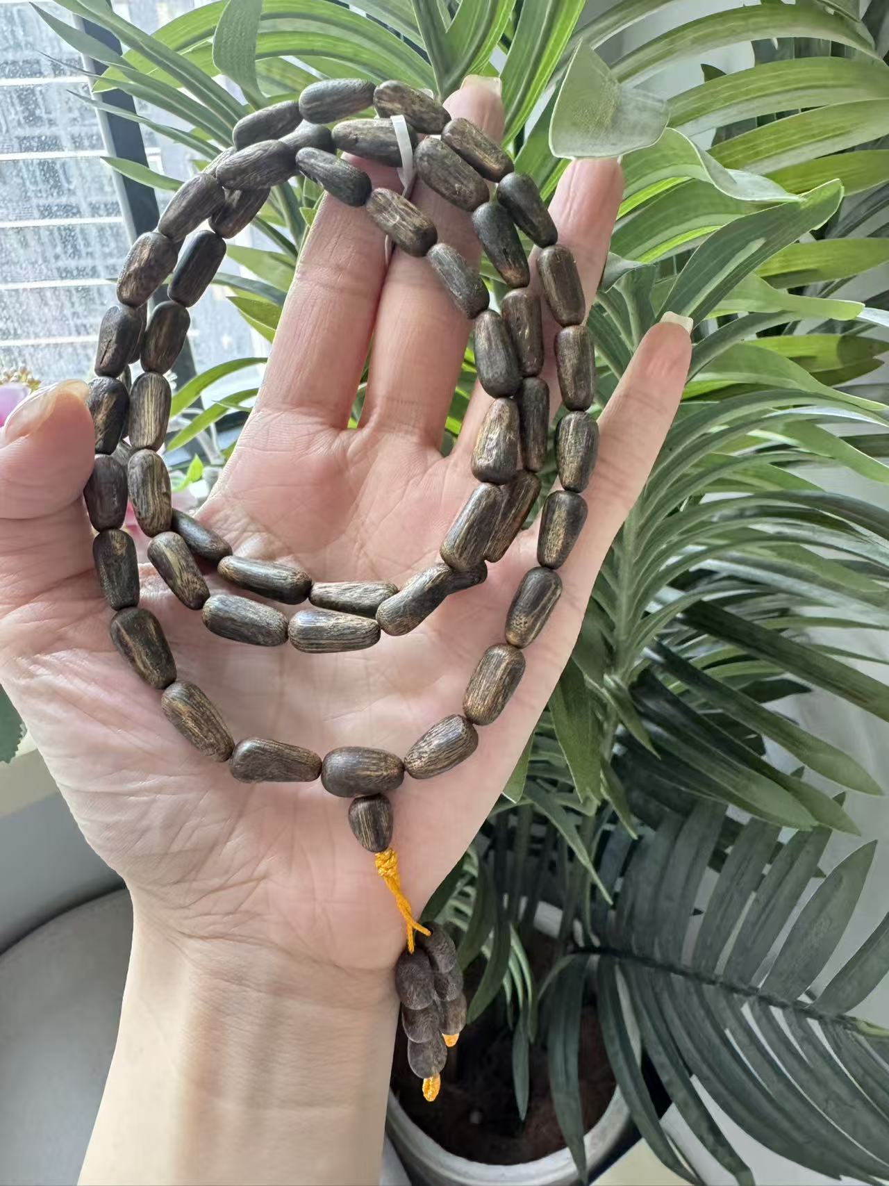 沉香海南沉香沉水树丁虫漏多圈多样性发其一