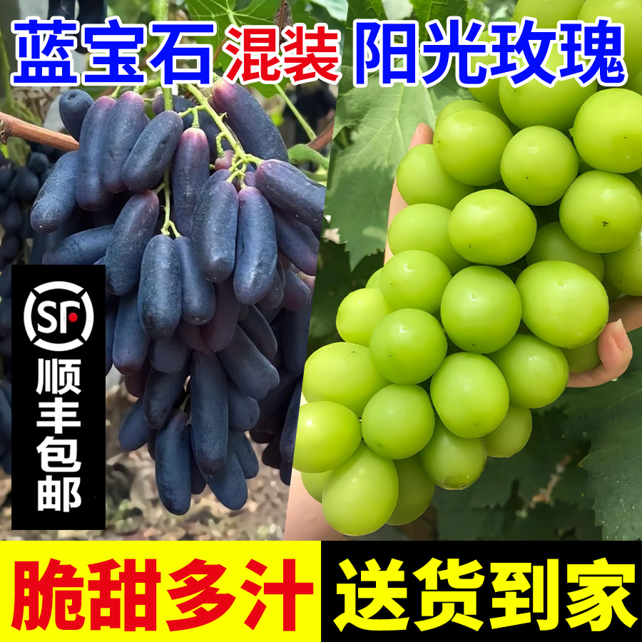 【顺丰包邮】蓝宝石无籽葡萄阳光玫瑰混装脆甜多汁新鲜采摘产地直发