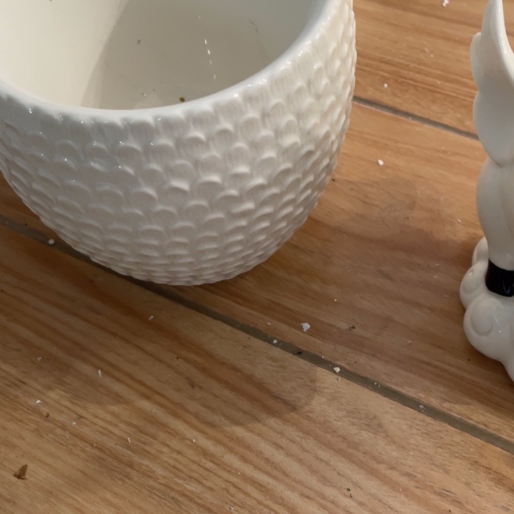 摆件摆件摆件摆件摆件摆件