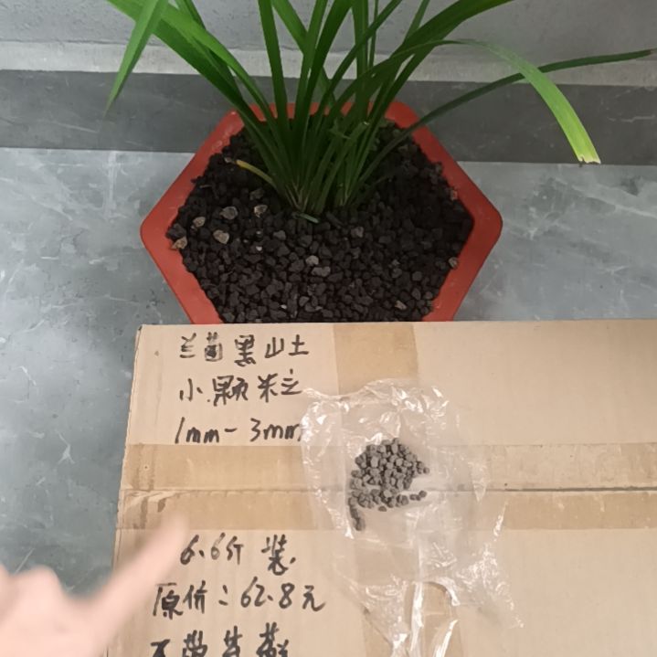 晨***龍兰菌黑山土小颗粒6.6斤