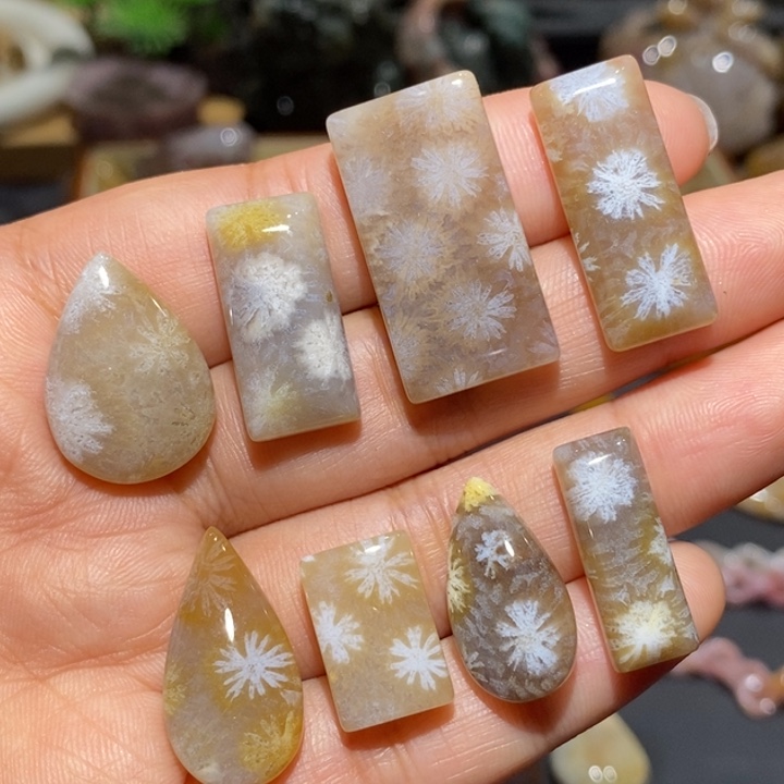 【闪购商品】未镶嵌珊瑚玉硅化玉一个38元 可选