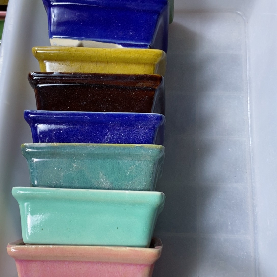 红陶清*发信息吧你还说你是