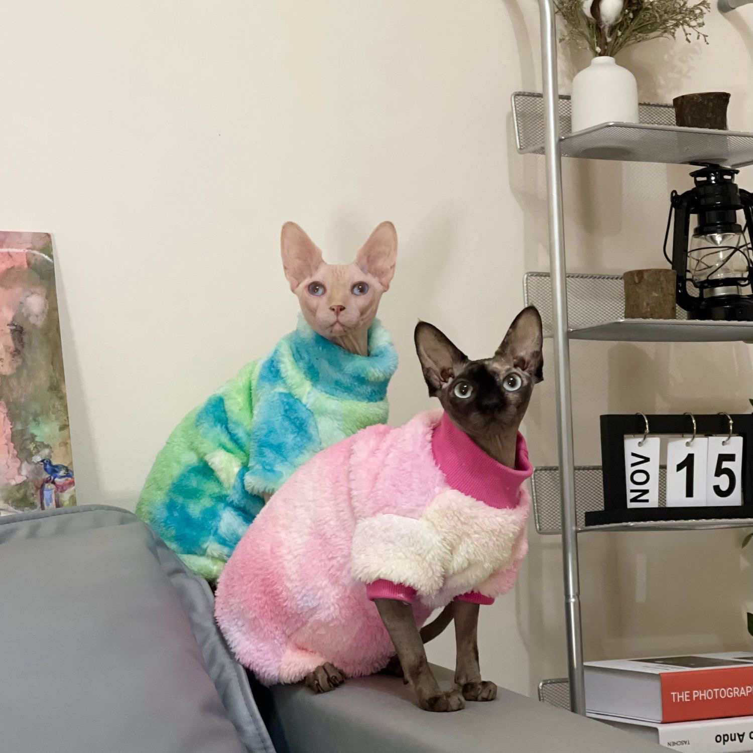 无毛猫衣服厚冬季四脚高领双面绒保暖弹力毛绒斯芬克斯德文猫衣服