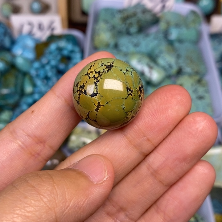 绿松石未镶嵌颈饰