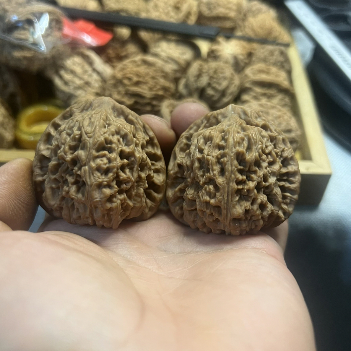 三角战士南疆石3号