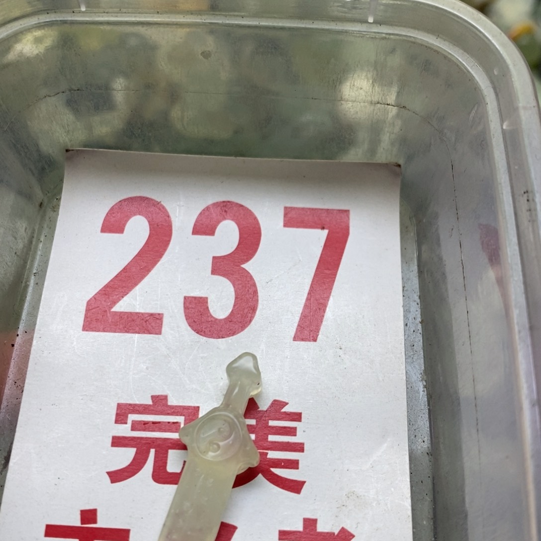 透闪石-蛇纹石玉挂坠足银镀金镶嵌