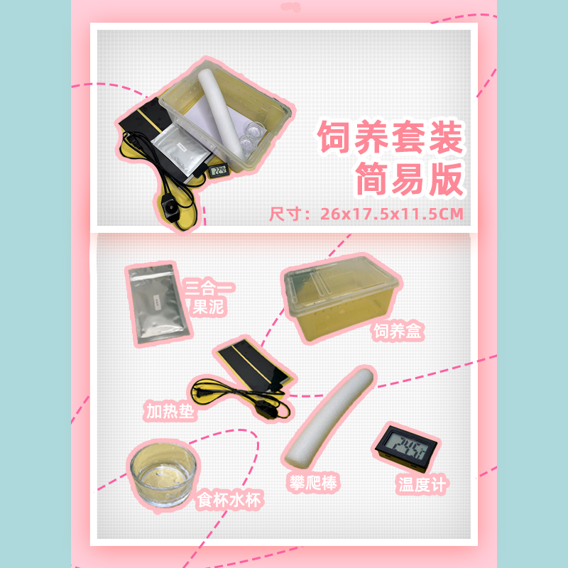 【养爬姑娘】睫角/巨人/盖勾亚守宫饲养设备